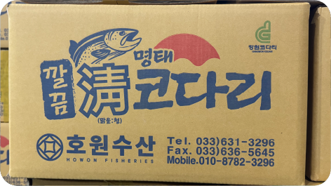 코다리뉴스2